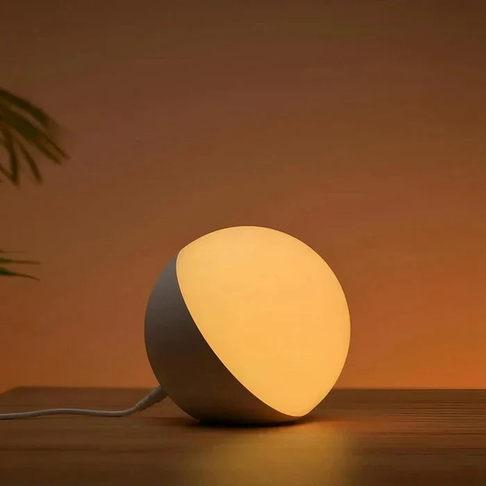 SMART LIGHT