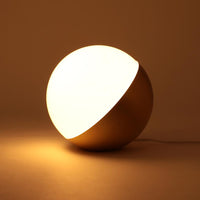 Smart LED Globe Lamp — RGBIC Smart Mood Lamp with Alexa, Google Assistant & App Control