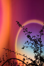 Sunset Lamp (16 Colors)