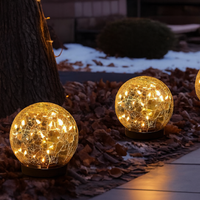 Solar Globe Light — Outdoor Garden Stake Light with Auto On/Off