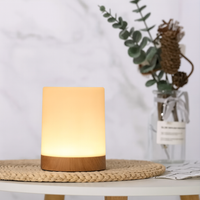 Mini Wood Light — Rechargeable RGB Touch & Remote Color-Changing Table Lamp