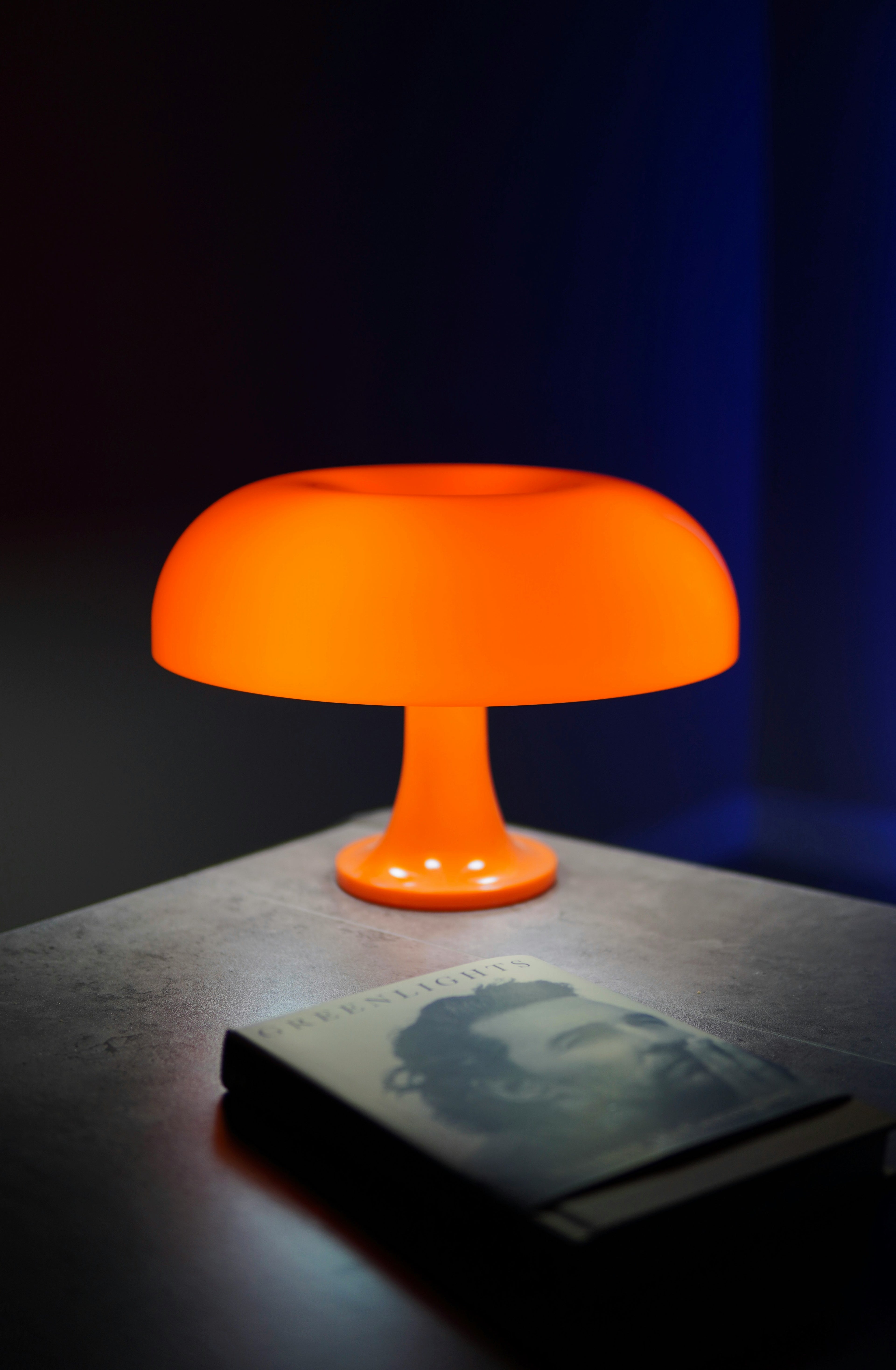 Anykonio Mushroom Lamp